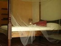 Room of the Hotel ACAYA - Las Terrenas - Dominican Republic