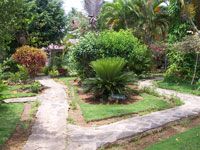 Garden of the Hotel ALOHA - Las Terrenas - Dominican Republic