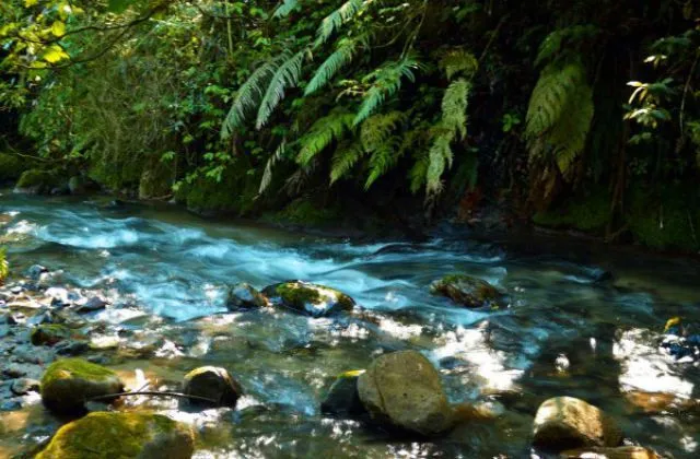 Complejo Ecoturistico Angostura discovery nature