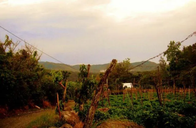 Complejo Ecoturistico Angostura nature