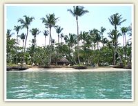 Beach of the Hotel ATLANTIS - Las Terrenas - Dominican Republic