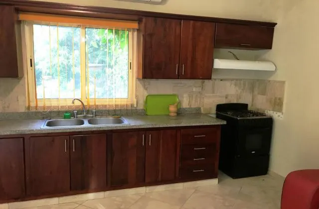 Hotel Diamond Cabarete Apartment kitchen