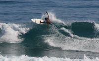 Surf of the Apart-Hotel HOOKED - Cabarete - Dominican Republic