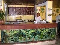 Apart Hotel Madejra Reception