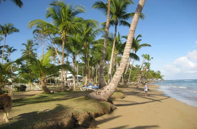 Hotel Mahalo Playa Bonita Las Terrenas
