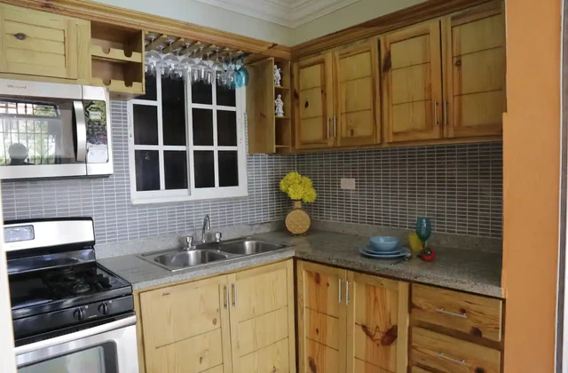 Villa Rodriguez Palmar de Ocoa Kitchen