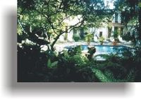 Garden of the Hotel TROPIX - Sosua - Dominican Republic