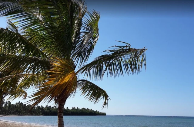 Playa Estillero Samana
