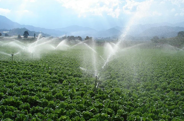 Municipio constanza 2