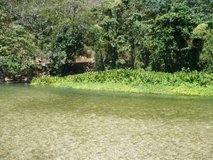 Los-Patos-Barahona-1