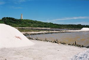 Monte-Cristi-salt