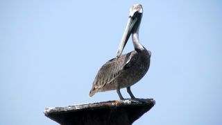 National Park Los Haitises